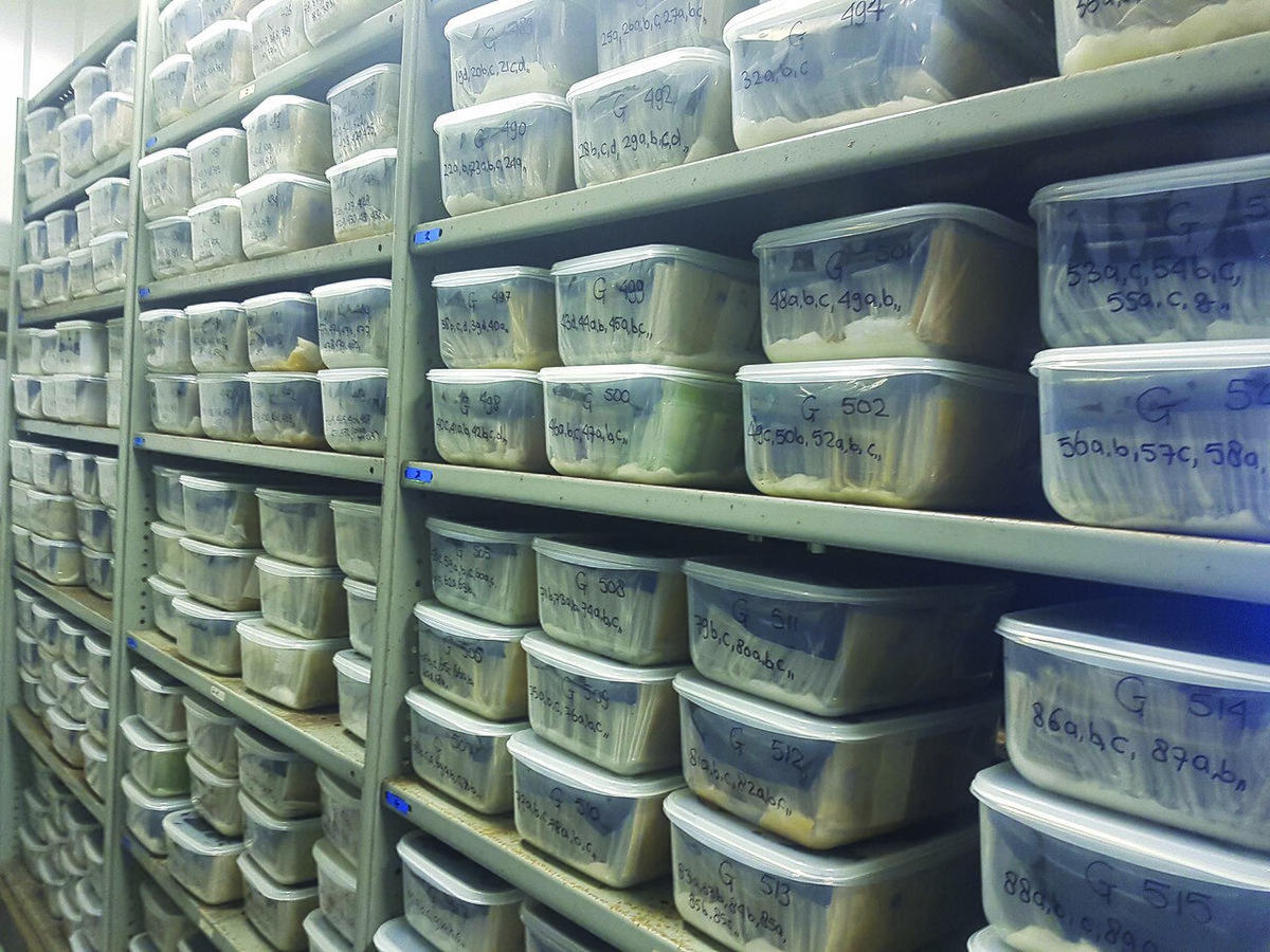 Archive boxes illustrating the records trail behind Epstein storage units
